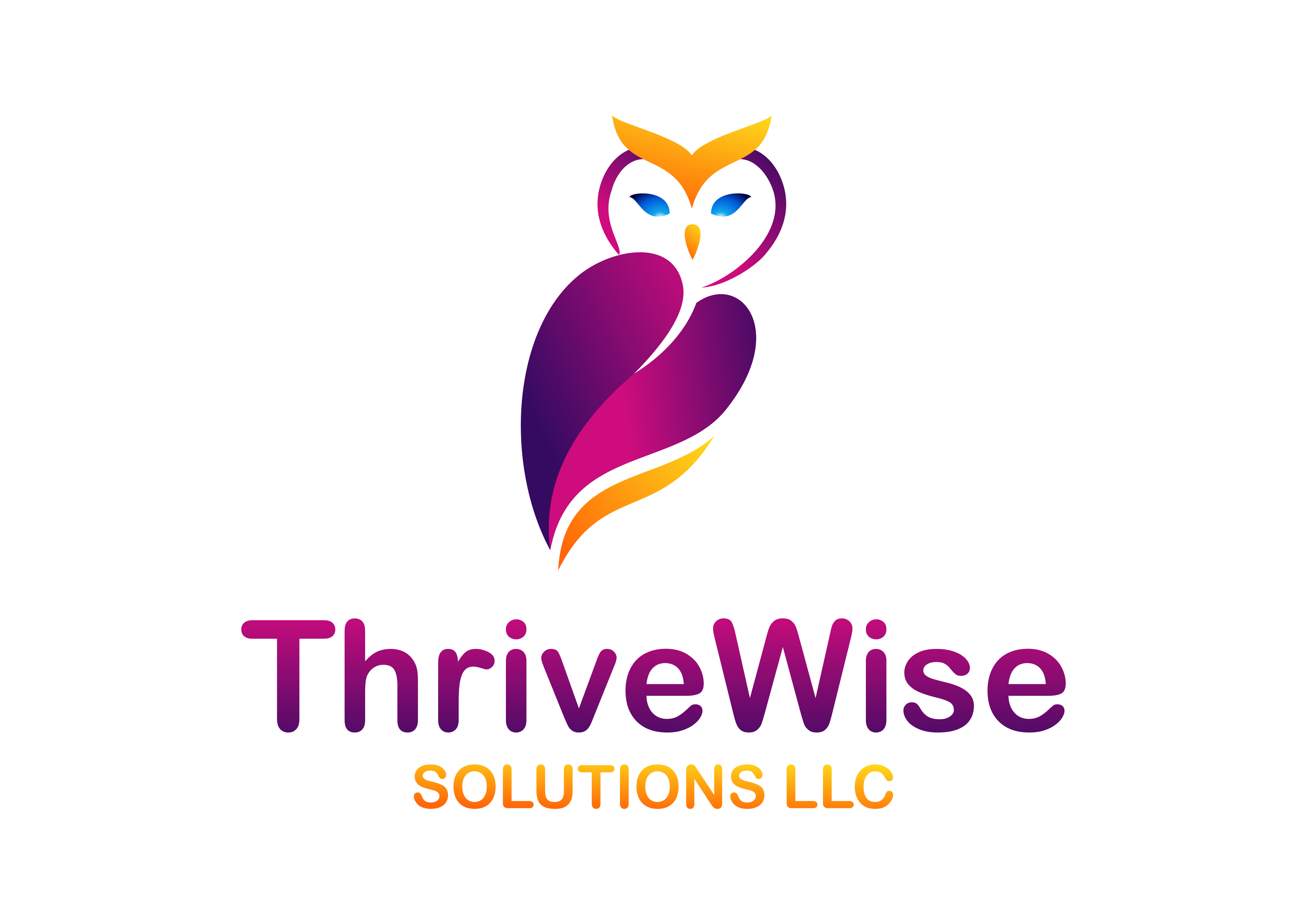 ThriveWise Solutions