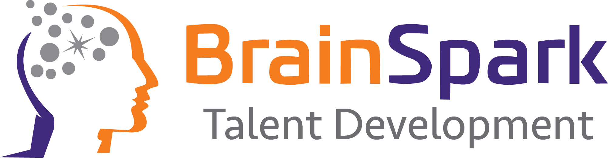 BrainSpark Logo