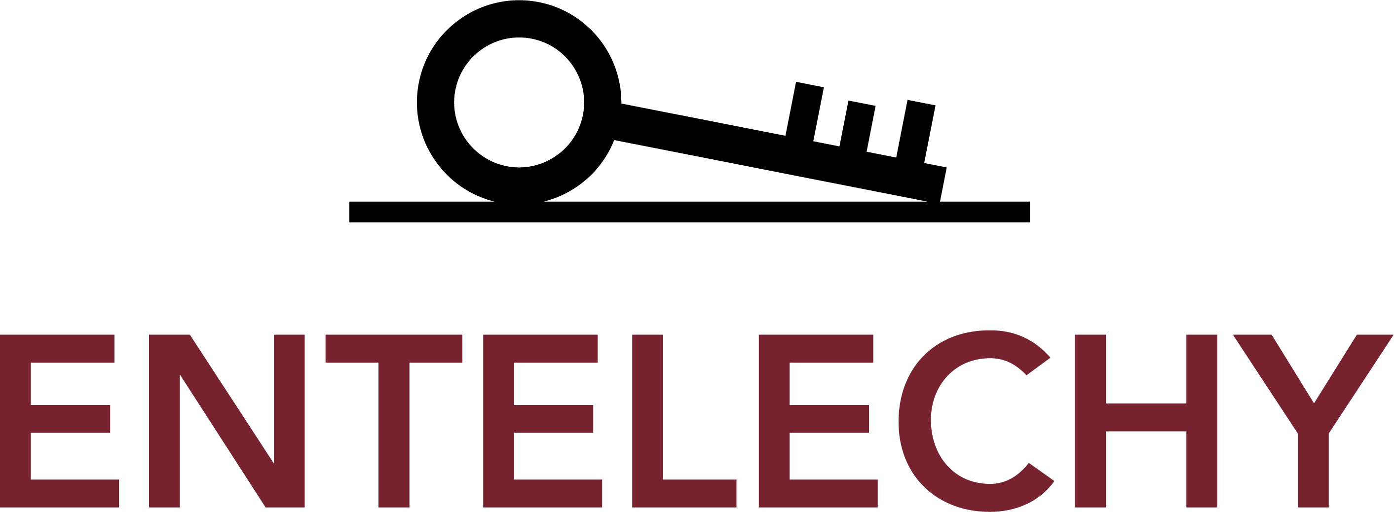 Entelechy Inc logo