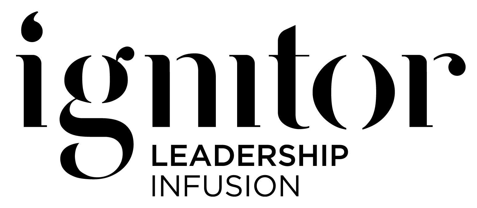 Ignitor Leadership Development Everything Disc