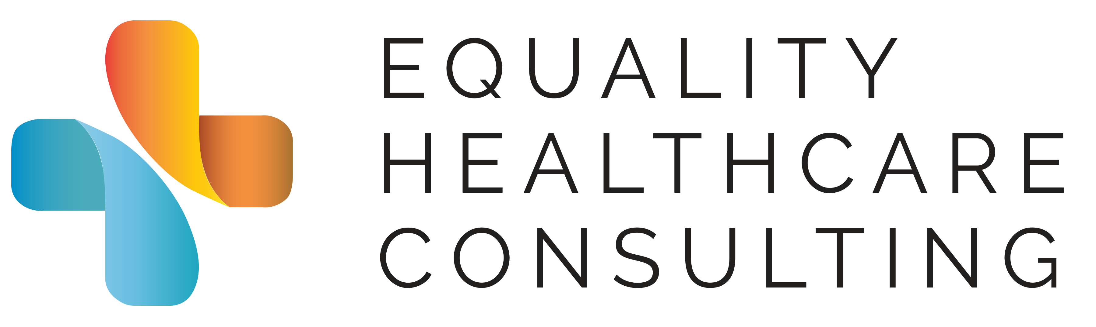 Creating Equity in the Delivery of Healthcare
