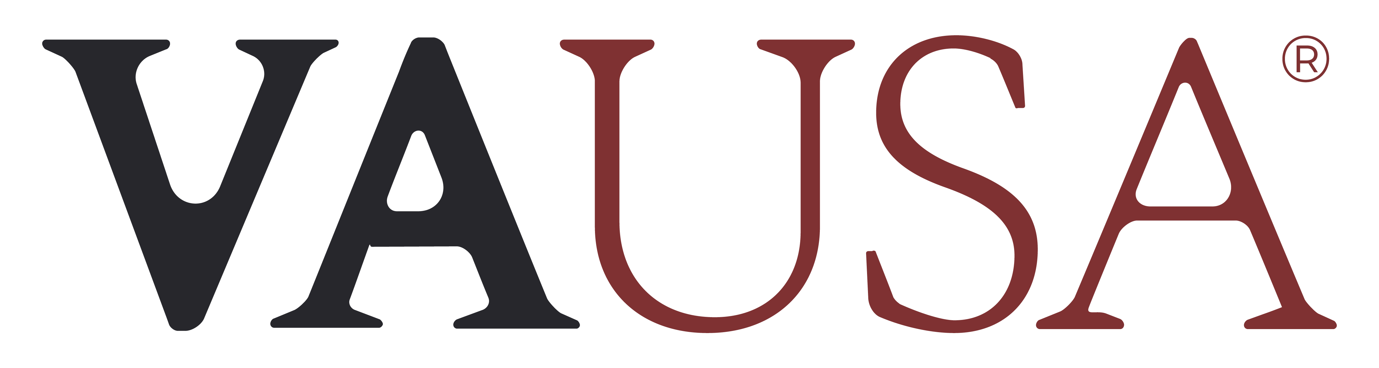 VAUSA Logo
