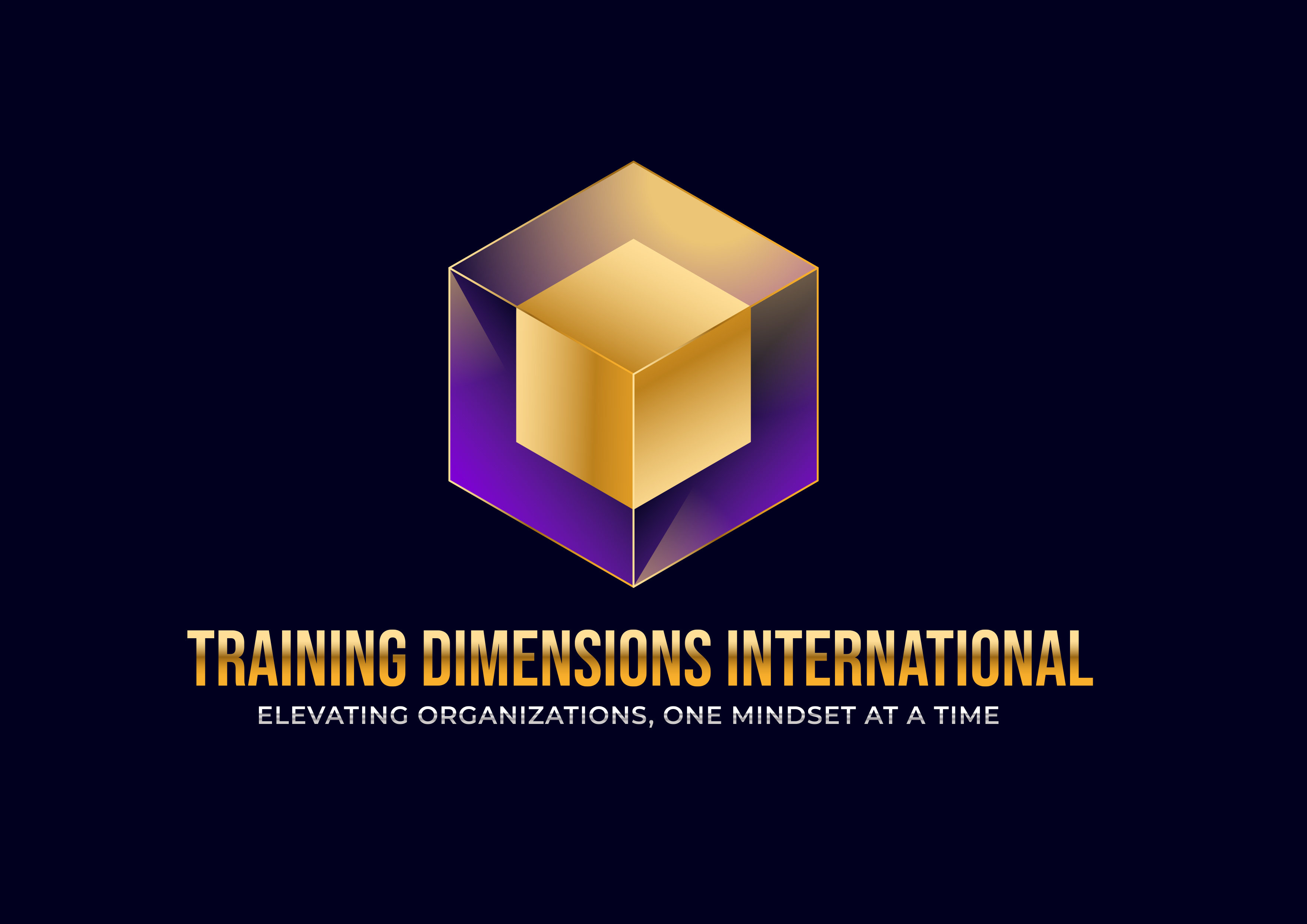 Training Dimensions International Logo
