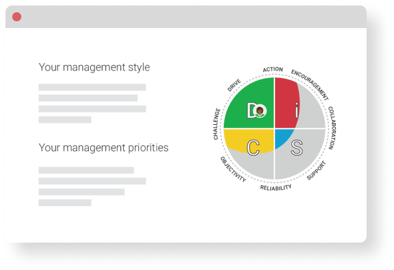 Sample Everything DiSC D style Management profile on Catalyst.