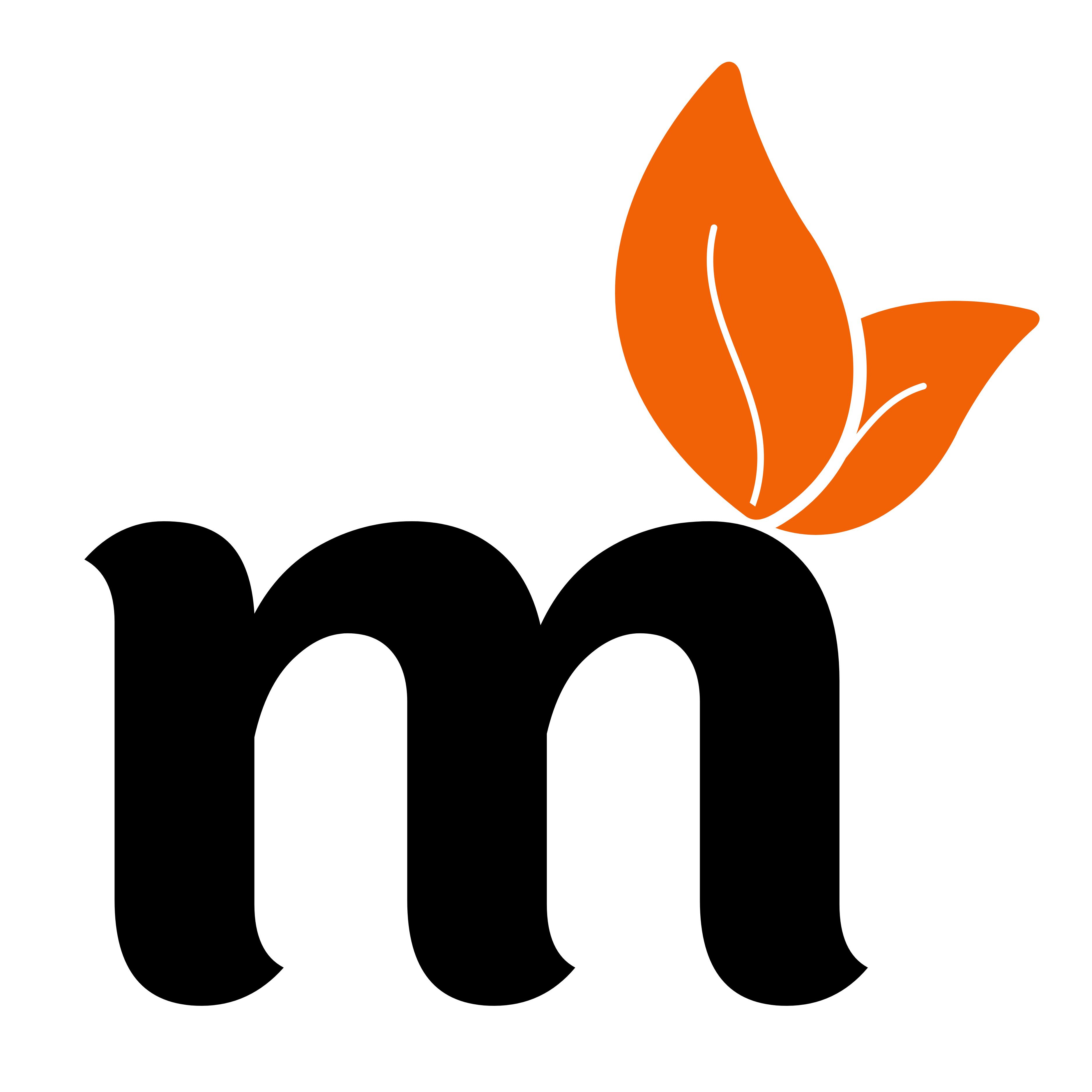 Maram Solutions Logo