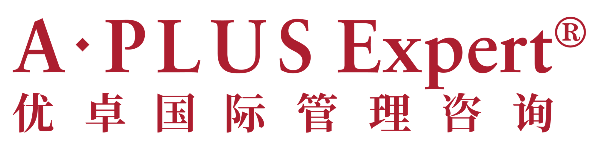 A.PLUS Management Consulting Logo