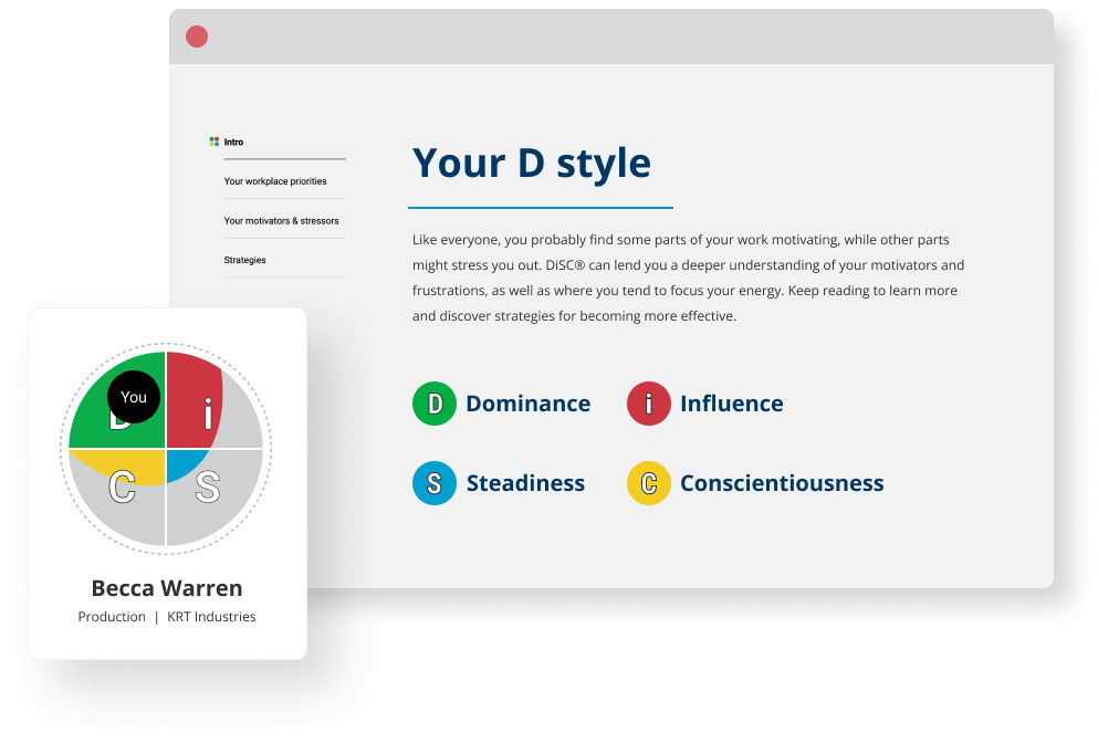 Sample Everything DiSC on Catalyst CS DiSC style profile.