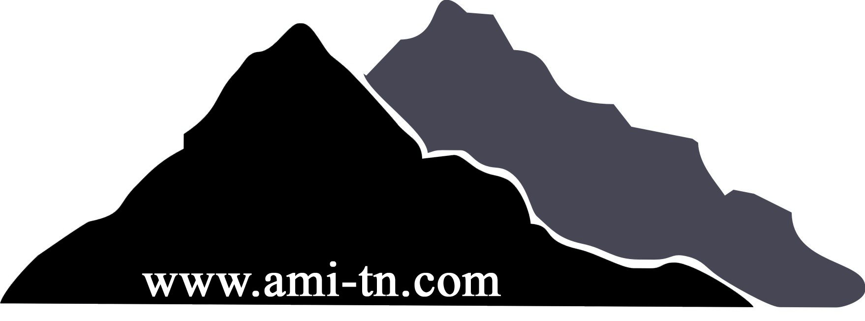 Advanced Management, Inc. Logo
