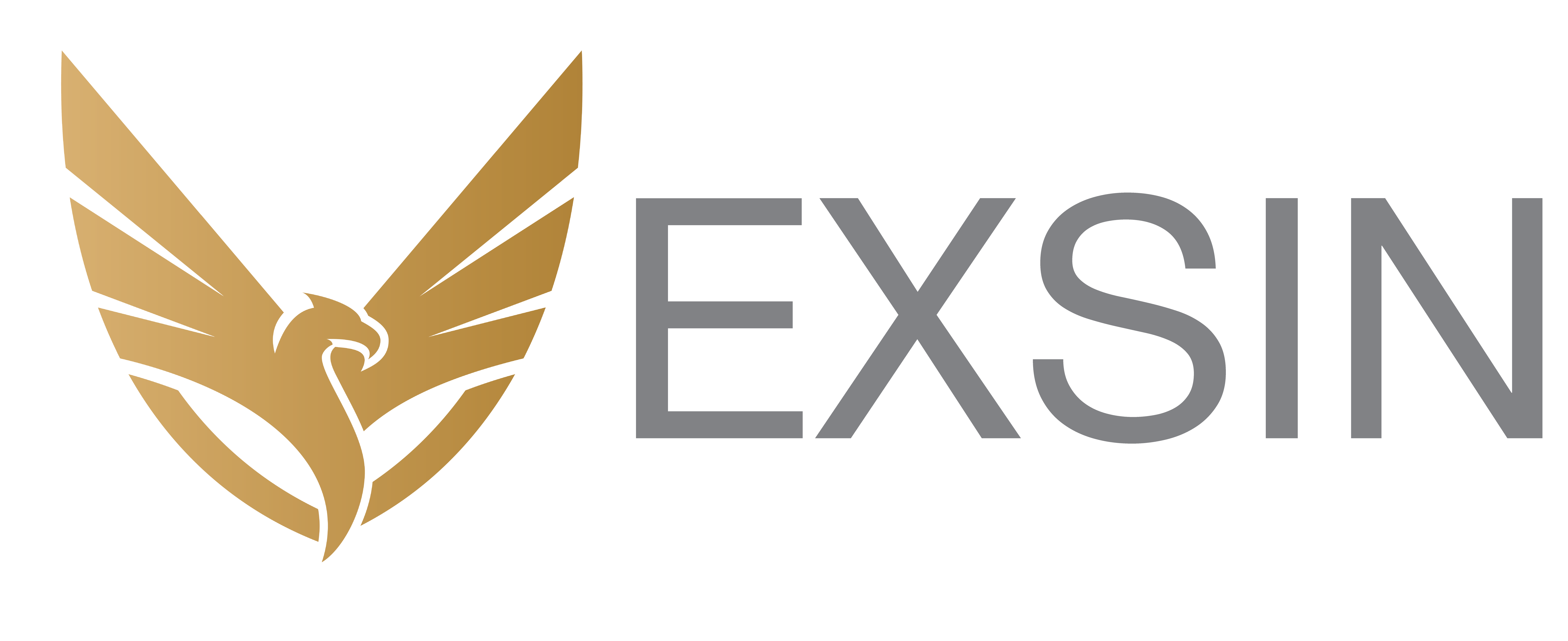 EXSIN